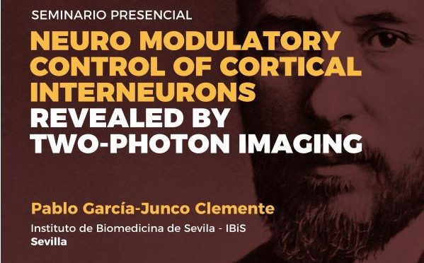 Seminar: Neuromodulatory control of cortical interneurons revealed by two-photon imaging
