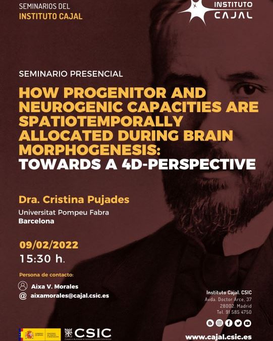 Seminario: How progenitor and neurogenic capacities are spatiotemporally allocated during brain morphogenesis: towards a 4D-perspective