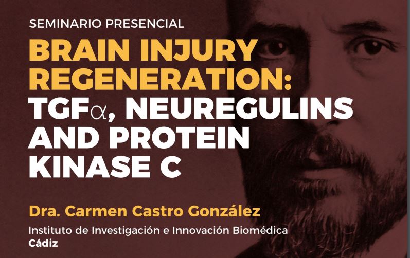 Seminario: Brain injury regeneration: modulating TGFa neuregulins and protein kinase C