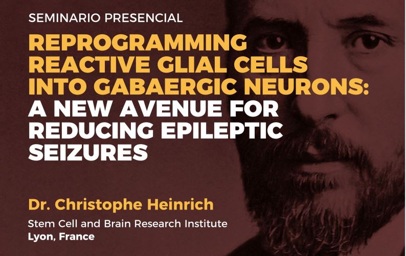 Seminario: Reprogramming reactive glial cells into GABAergic neurons: A new avenue for reducing epileptic seizures