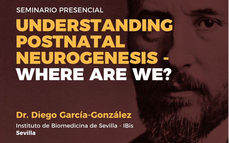 Seminario: Understanding postnatal neurogenesis – where are we?