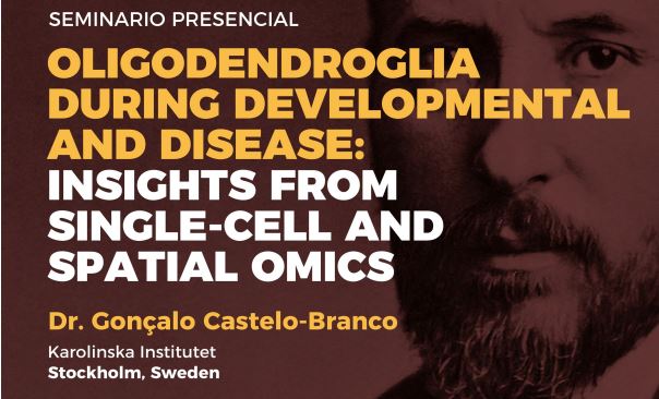 Seminario: Oligodendroglia during developmental and disease: insights from single-cell and spatial omics