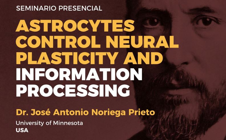 Seminario: Astrocytes control neuronal plasticity and information processing.