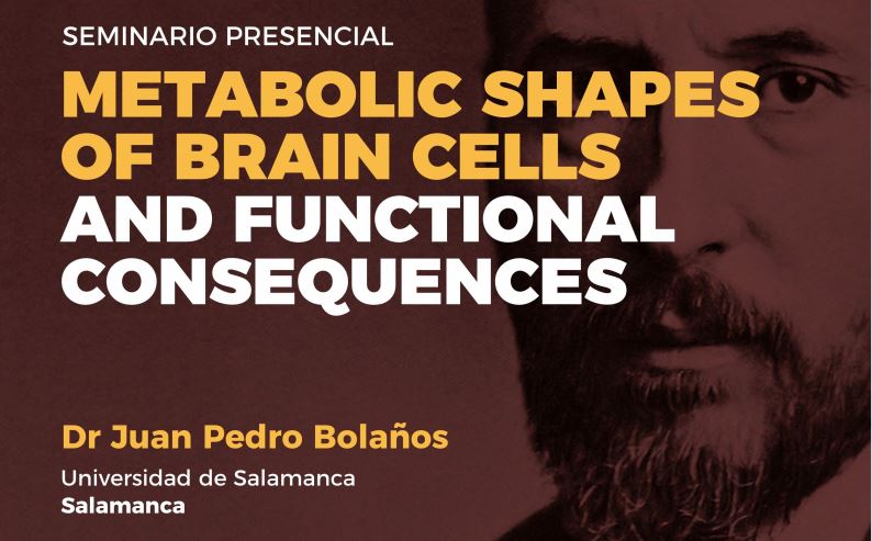Seminar: Metabolic shapes of brain cells and functional consequences