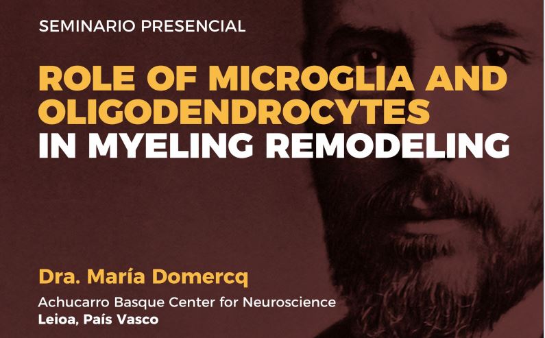 Seminario: Role of microglia and oligodendrocytes in myelin remodeling
