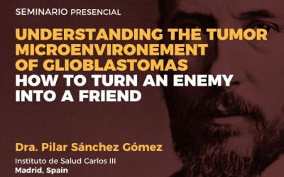 Seminar: Understanding the tumor microenvironment of glioblastomas. How to turn an enemy into a friend