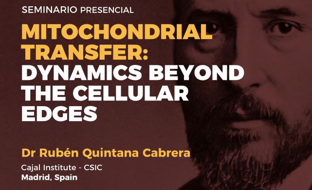 Seminario: Mitochondrial transfer: Dynamics beyond the cellular edges