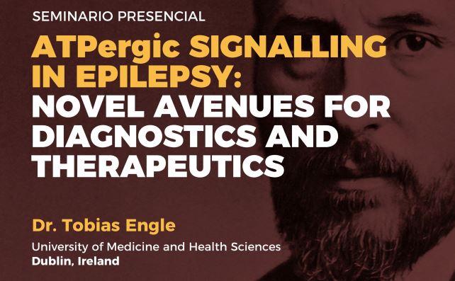 Seminario: ATPergic signalling in epilepsy: Novel avenues for diagnostics and therapeutics