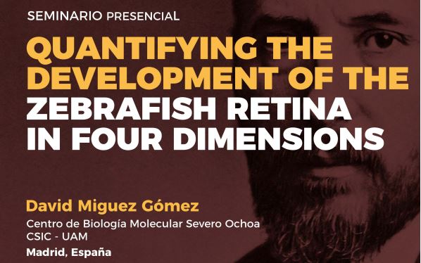 Seminario: Quantifying the development of the zebrafish retina in four dimensions