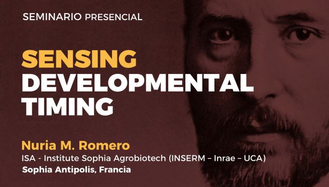 Seminar: Sensing developmental timing