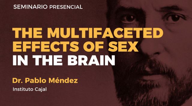 Seminario: The multifaceted effects of sex in the brain