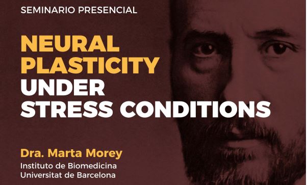 Seminario: Neural Plasticity under stress conditions