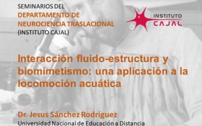 Interacción fluido-estructura y biomimetismo: una aplicación a la locomoción acuática