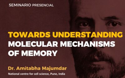 Towards understanding molecular mechanisms of memory