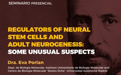 Regulators of neural stem cells and adult neurogenesis: some unusual suspects Copiar