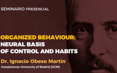 Organized behaviour: neural basis of control and habits