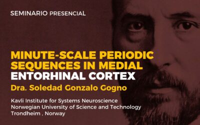 Minute-scale periodic sequences in medial entorhinal cortex