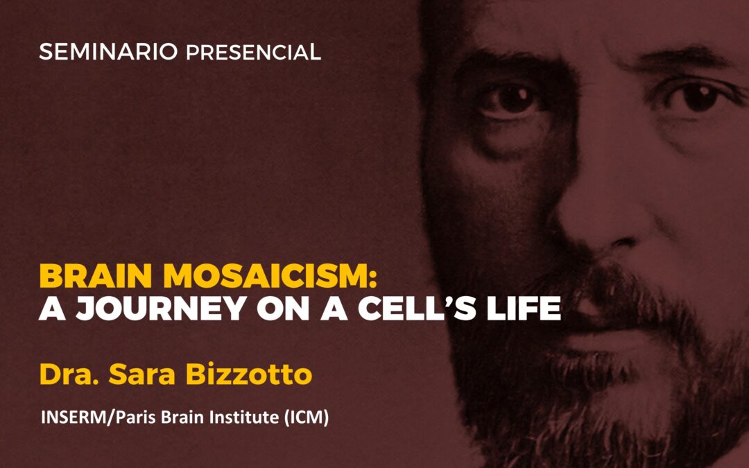 Brain mosaicism: a journey on a cell’s life