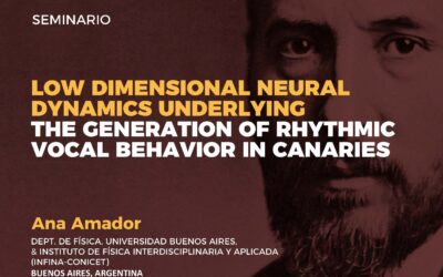 Low dimensional neural dynamics underlying the generation of rhythmic vocal behavior in canaries