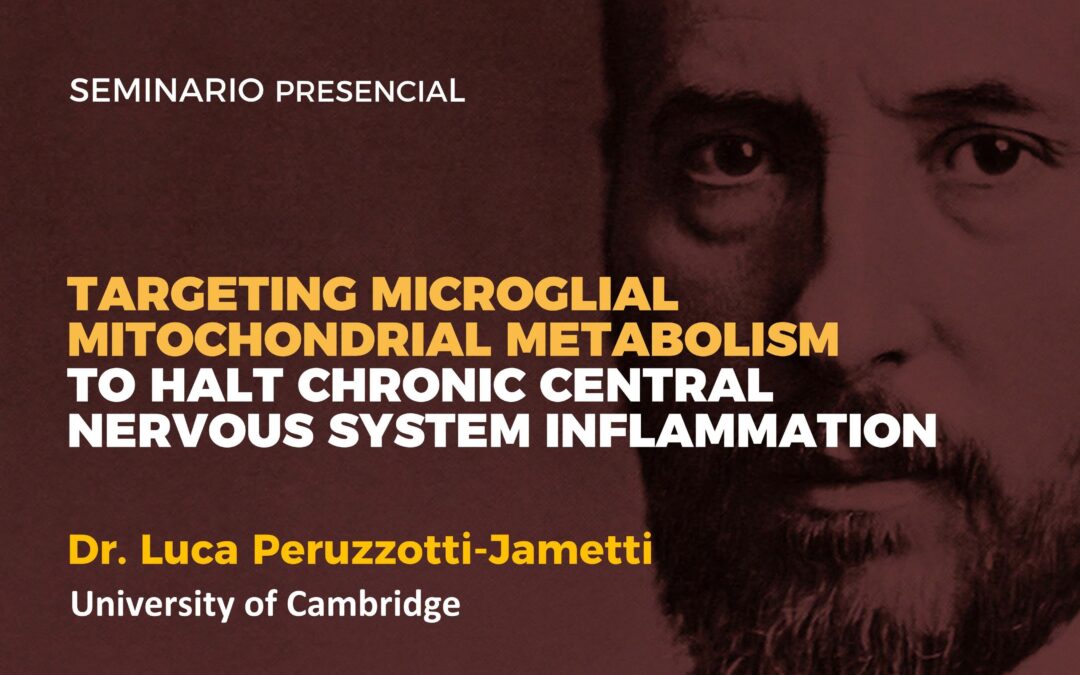 Targeting microglial mitochondrial metabolism to halt chronic central nervous system inflammation