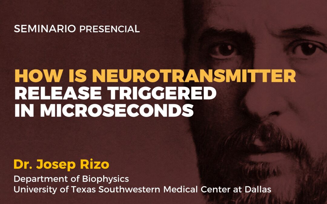 How is neurotransmitter release triggered in microseconds
