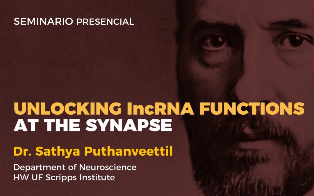 Unlocking lncRNA functions at the synapse