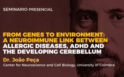 From genes to environment: a neuroimmune link between allergic diseases, ADHD and the developing cerebellum