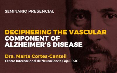 Deciphering the vascular component of Alzheimer’s disease Copy