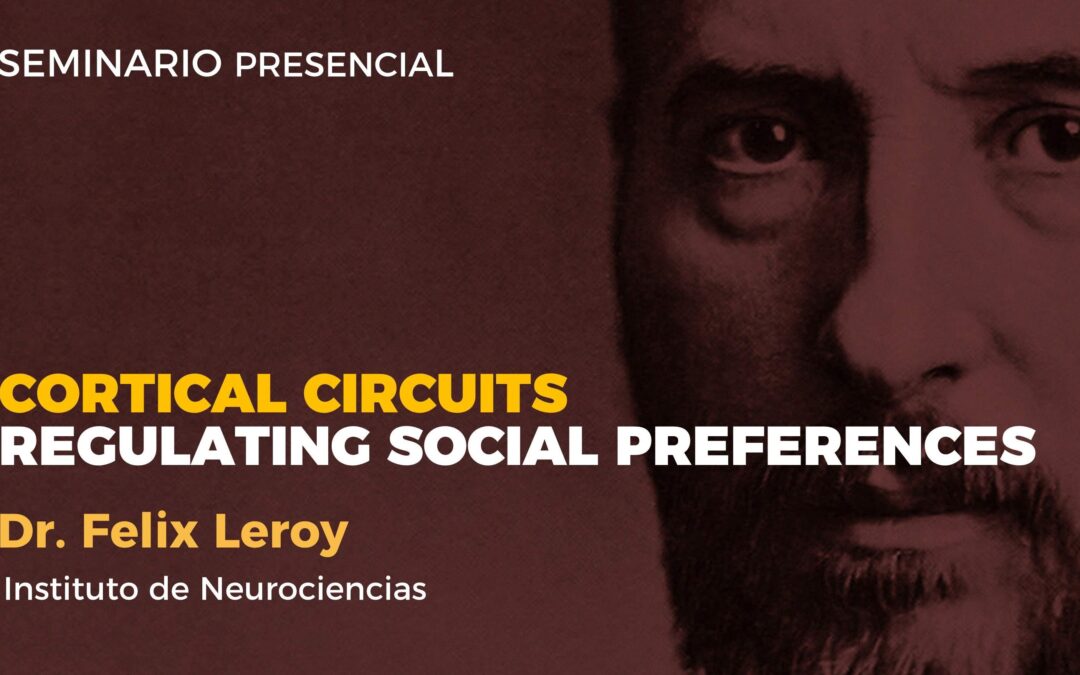 Cortical circuits regulating social preferences