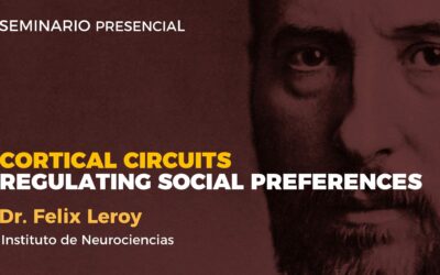 Cortical circuits regulating social preferences
