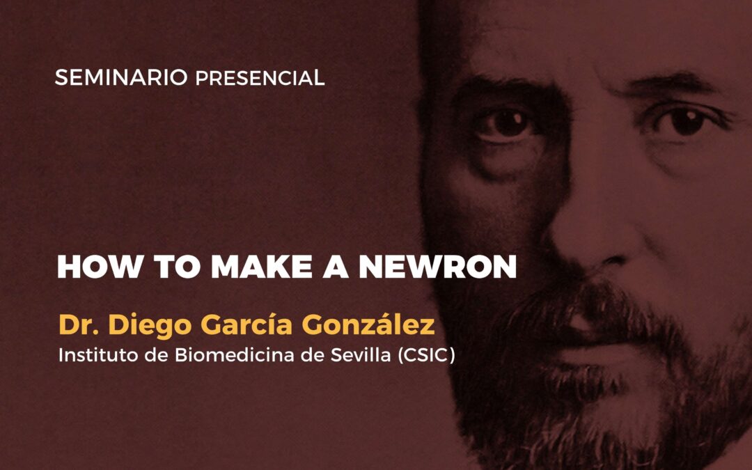 How to make a newron