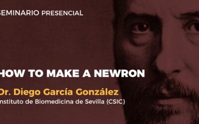 How to make a newron