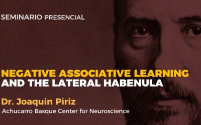 Negative associative learning and the Lateral Habenula